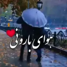 هوای بارونی دلم