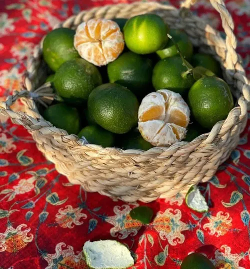 وقتی یواشکی زیر نیمکت نارنگی پوست میکندیم، یهو کلاس بوی ن