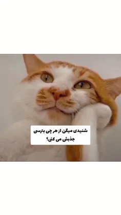 شنیدین میگن از هرچی بترسی جذبش میکنی:)