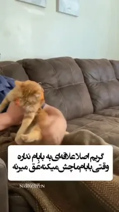 گوربا😺