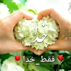 السلام علیک یانورلله 