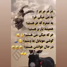 اومد وارم نخو نه 