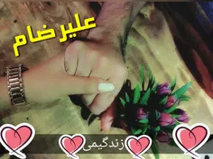 باشــ ـــــــ تا فَراموشَـــ ـــت نَکُــــــنَم…