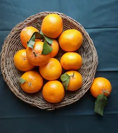 🍊 نارنگی بخاطر داشتن فسفر زیاد،باعث تقویت هوش کودک میشود.