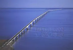 پلی که در تصویر مشاهده می کنید در جزیره پرنس ادوارد کشور 