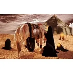 [ أمان از دل حضرت زینب سلام الله علیها ]