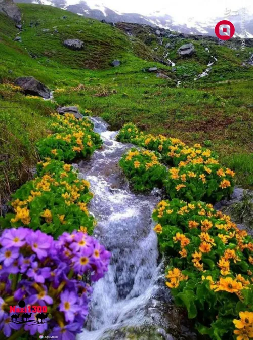 طبیعت زیبا و سرسبز ارتفاعات مریوان در استان کردستان