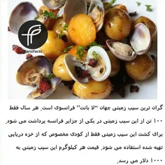 #potato#foodfarsifacts #سیب زمینی