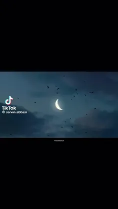 حرفی ندارم از وایب خوبش...⚡️🌑