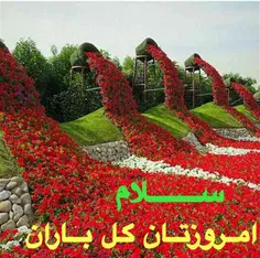 طبیعت rezvan_hih 7042551