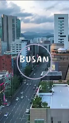 بوسان ، کره جنوبی 🐇🥕