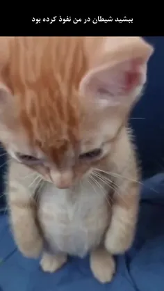 مهم
