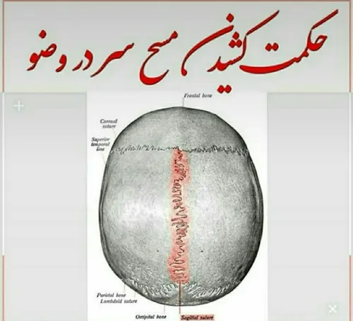 حکمت کشیدن مسح سر در وضو...