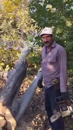 989362_9543 77372043