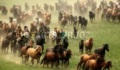 مغولستان کشوری که تعداد اسب هایش از انسان هایش بیشتر است.