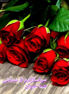 #باران ❣🌹یه دسته گل رز🌹