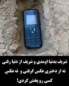 #تلنگر_به_پَست_فطرتان