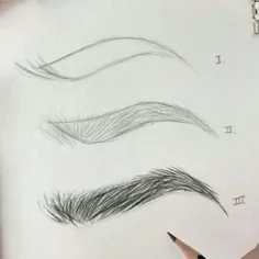 The real eyebrow method
