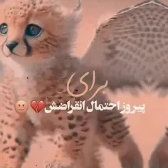 پیروز قوربون چشات بشم ناراحت نباش‌🐯♥️