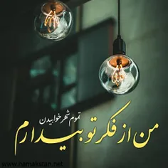 شعر و ادبیات zhrshnvr 28364662