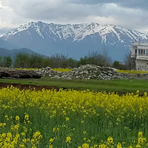 این کوه که میبینی منطقه اورامانات وکوردستان ایران است