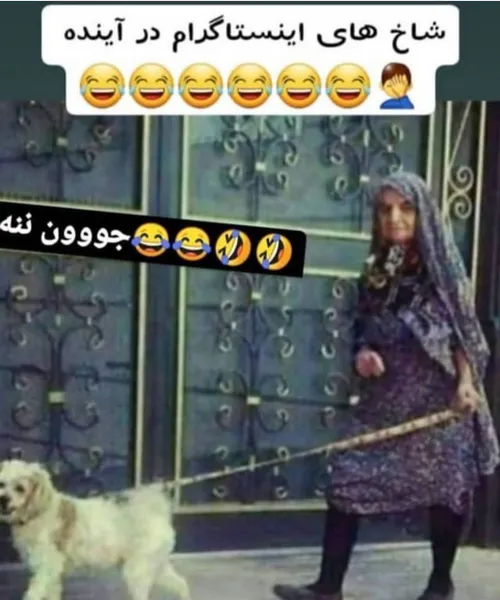 شاخای اینستا😂✌