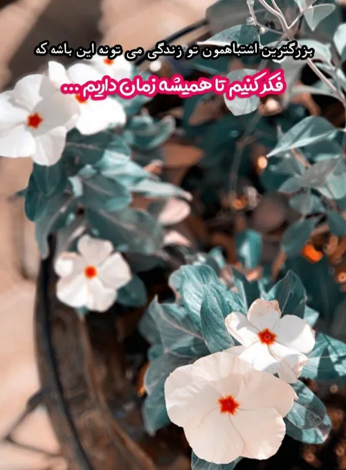 عمر گران میگذرد خواهی نخواهی