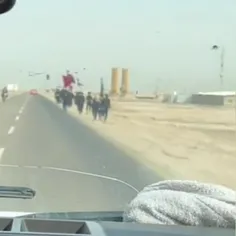 اولین کاروان پیاده روی از بصره عراق راهی شد