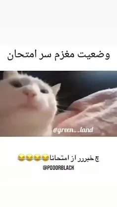 🤣🤣🤣😂😂

امتحانا دارن شروع میشن🤣💔