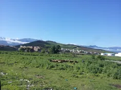 شهرستان گرگان