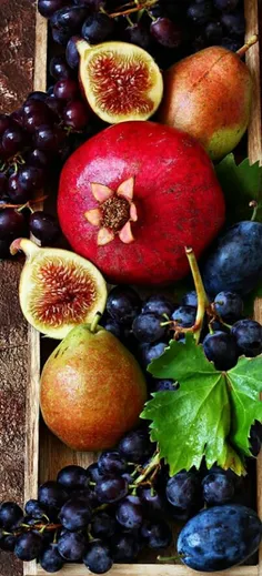 #Fruits 😋