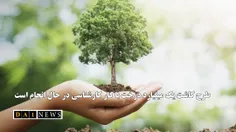 طرح کاشت یک میلیارد درخت با کار کارشناسی در حال انجام است