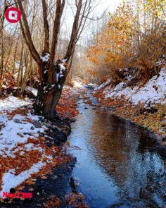 طبیعت پاییزی زمستانی مایان - 