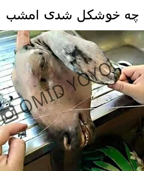 چه خوشگل شدی امشوووو.....!!!