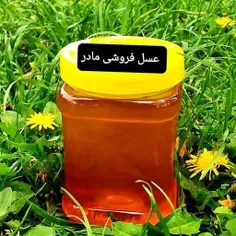 عسل طبیعی قاصدک