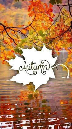 #autumn