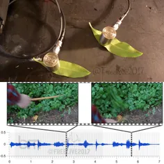 گیاهان میتوانند صدا تولید کنند که این اصوات با آنتن های ر
