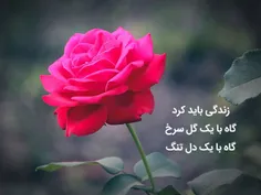 زندگی باید کرد