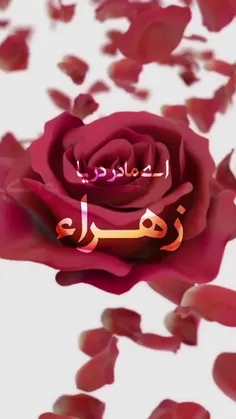 ولادت حضرت زهرا(س)