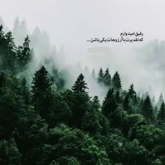 رفیق امیدوارم 