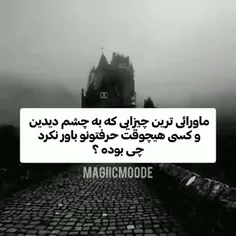 بگین ماهم فیض ببریم🤡