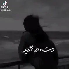 amin_13667795 77257828