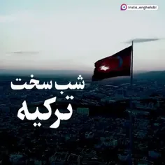 شب سخت ترکیه.کودتا