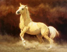 اسب زرد