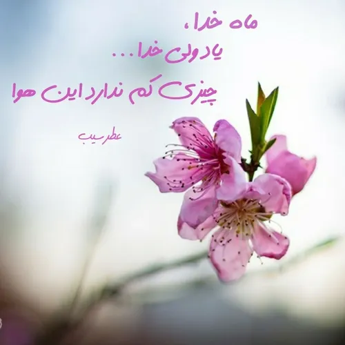 امام صادق(ع):