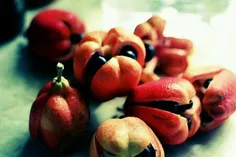#تجملاتی‌ترین_و_عجیب‌ترین_میوه‌های دنیا کدامند؟