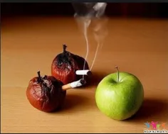 عاقبت سیگار کشیدن