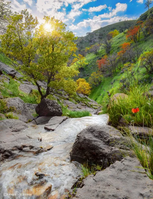 ای ساربان آهسته رو با ناتوانان صبر کن