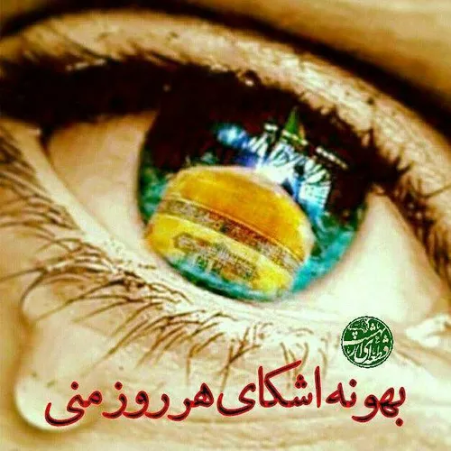 یا امام رضا ...