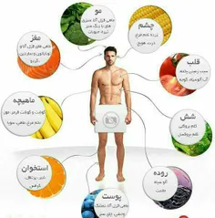 معرفی چند ماده غذایی مفید برای قسمت های مختلف بدن.